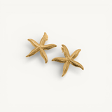 Sea Star Studs
