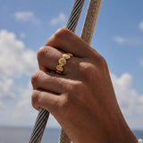Shell Link Ring